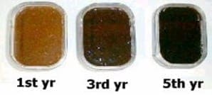 1-3-5 Year