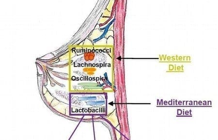 Breast Dysbiosis