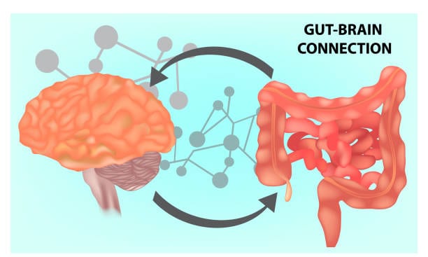 Gut-Brain Communication
