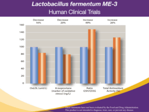 Lactobacillus Graph