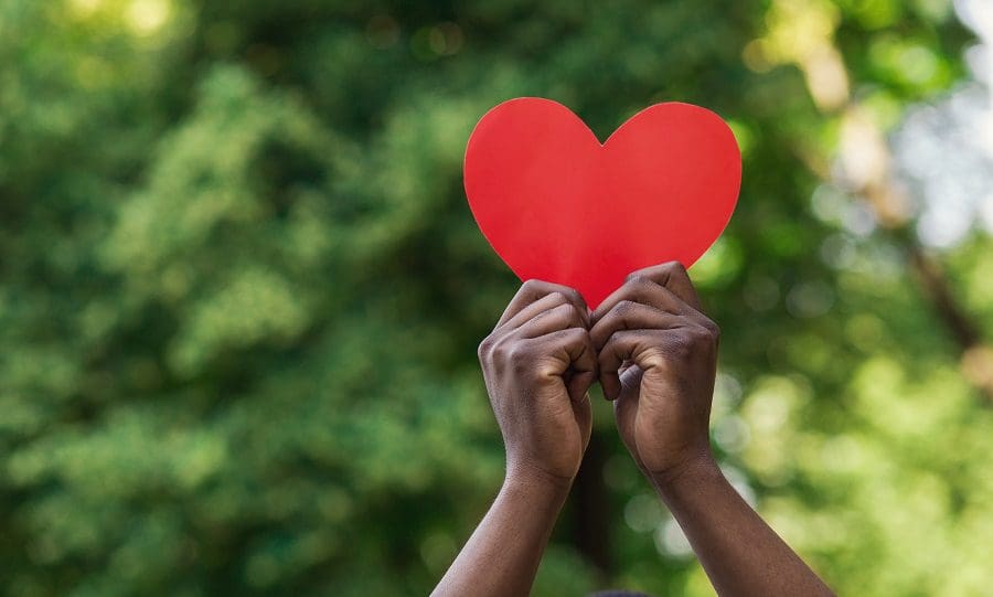 Heart