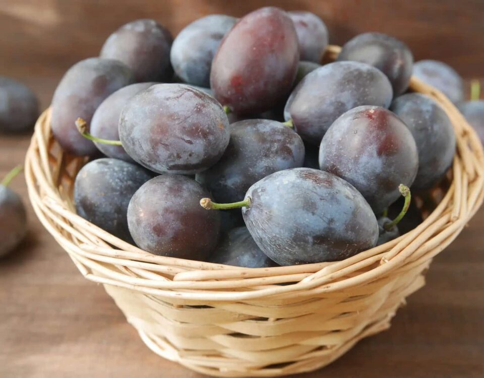 Help for Constipation: Try Prunes & Dr. Ohhira’s Probiotics